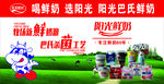 喝鲜奶 选阳光 阳光巴氏鲜奶
