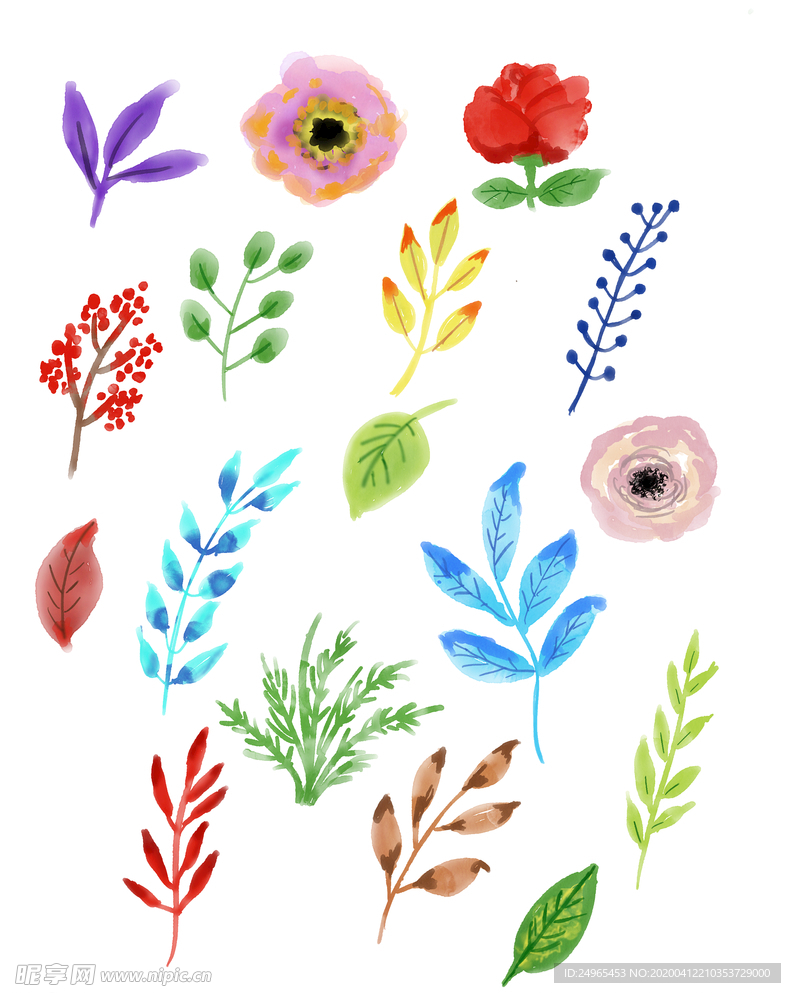 矢量花草插图