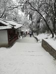 峨眉山雪景