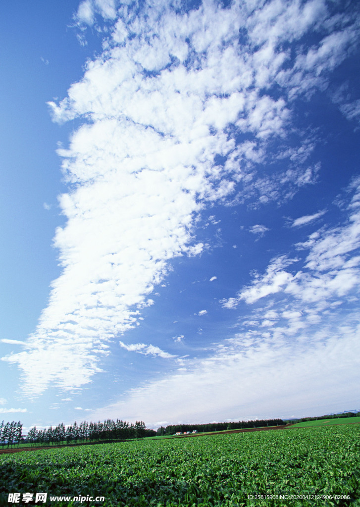 田园田野绿色原野图片