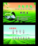 茶叶名片