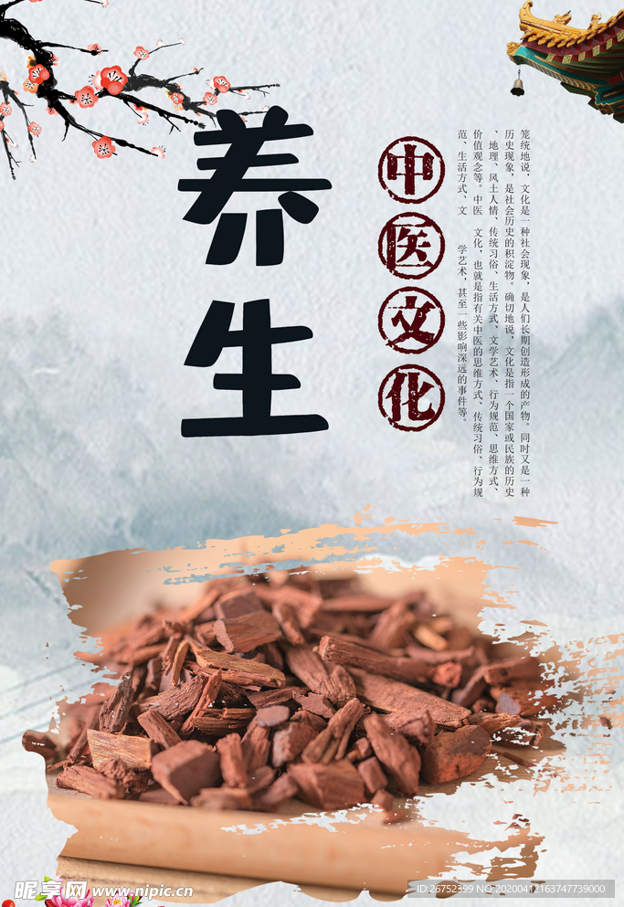 养生中医文化