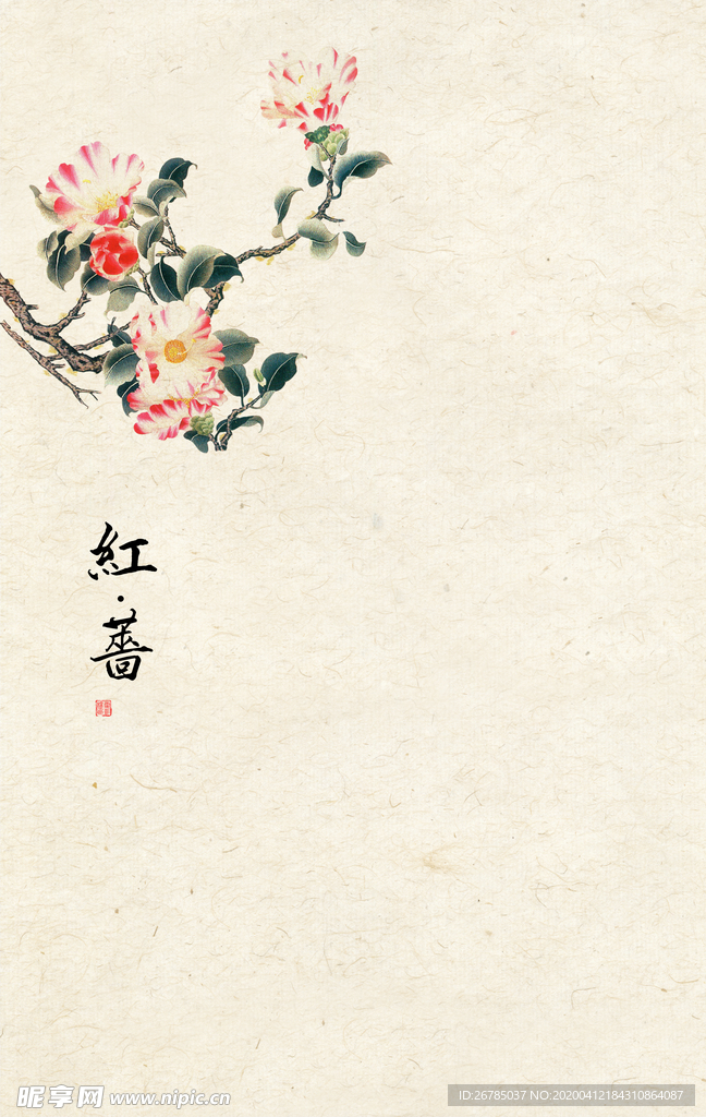 传统工笔画宣纸红杏花卉背景