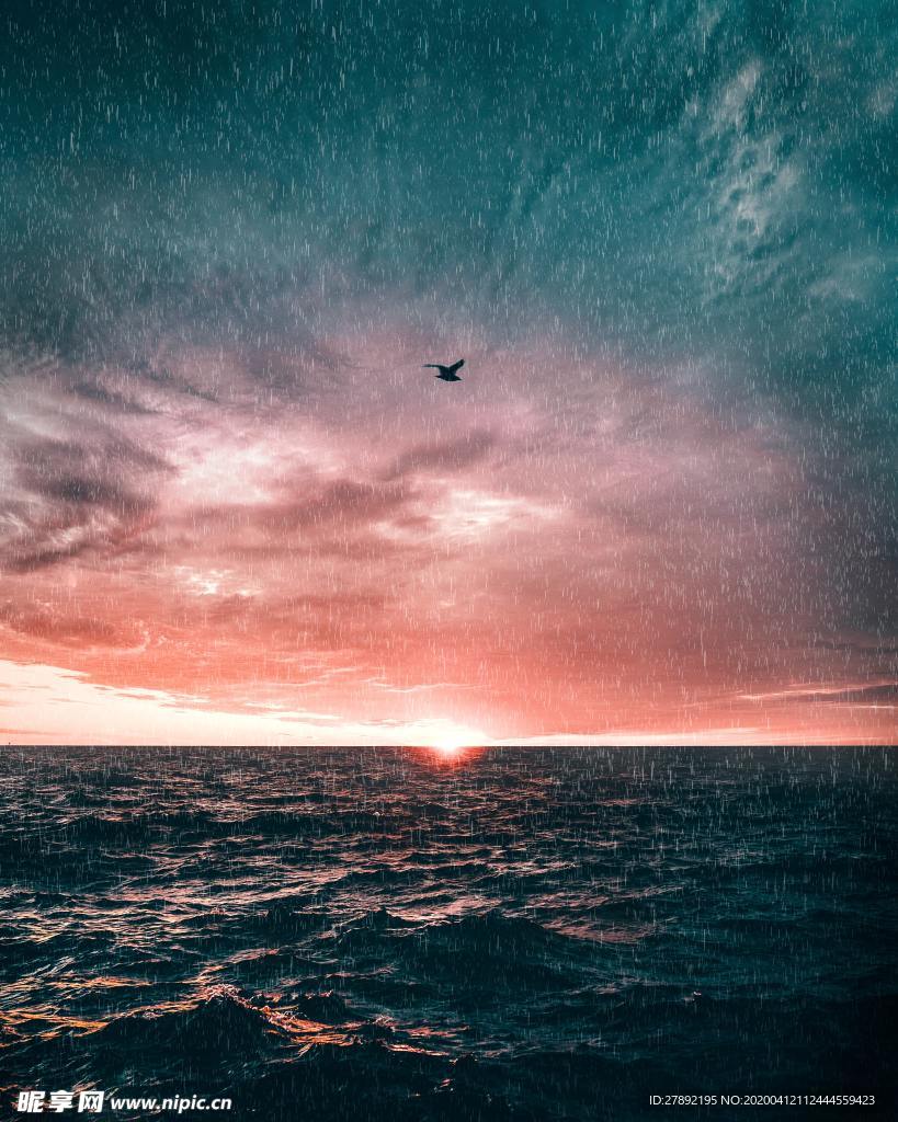 海雨