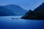 百东河之夜