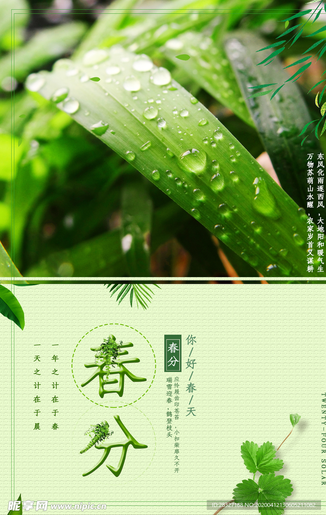夏至海报