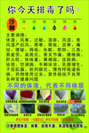 沙棘排毒