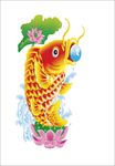 鲤鱼