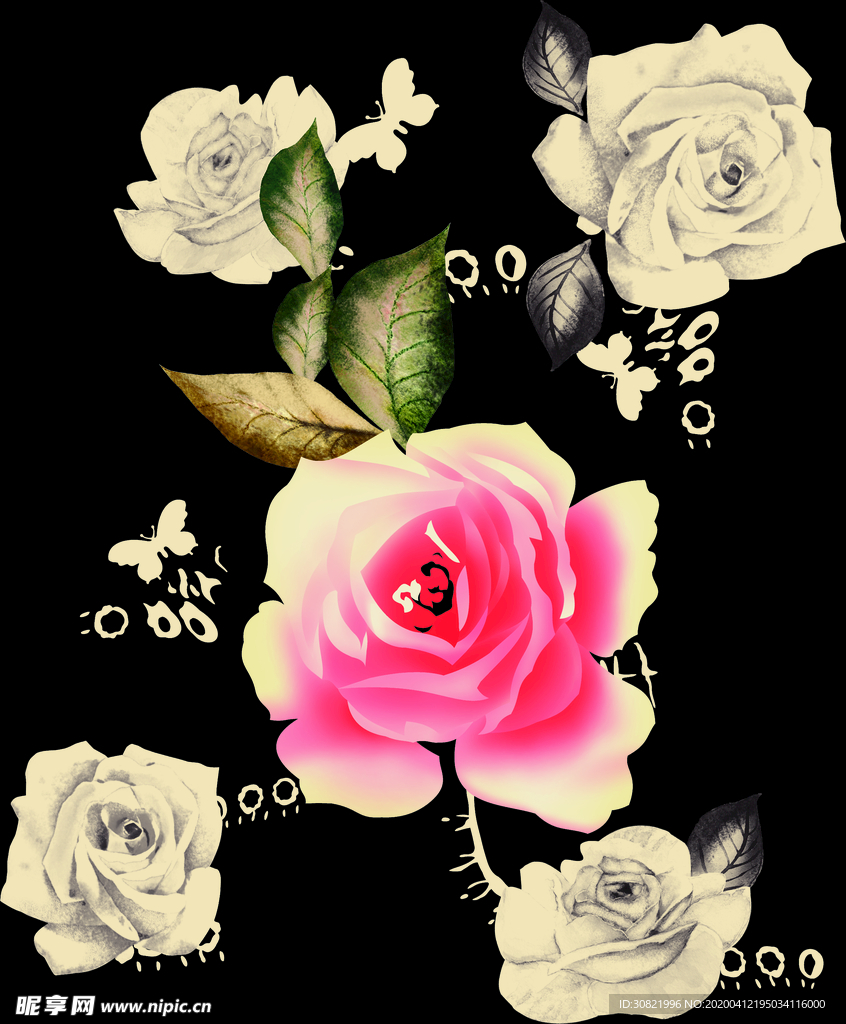 玫瑰花