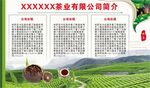 茶园展板