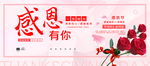 感恩节