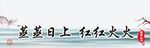 厨房装饰