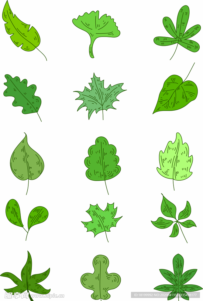 矢量可编辑叶子绿叶树叶图标图片