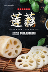 新鲜莲藕
