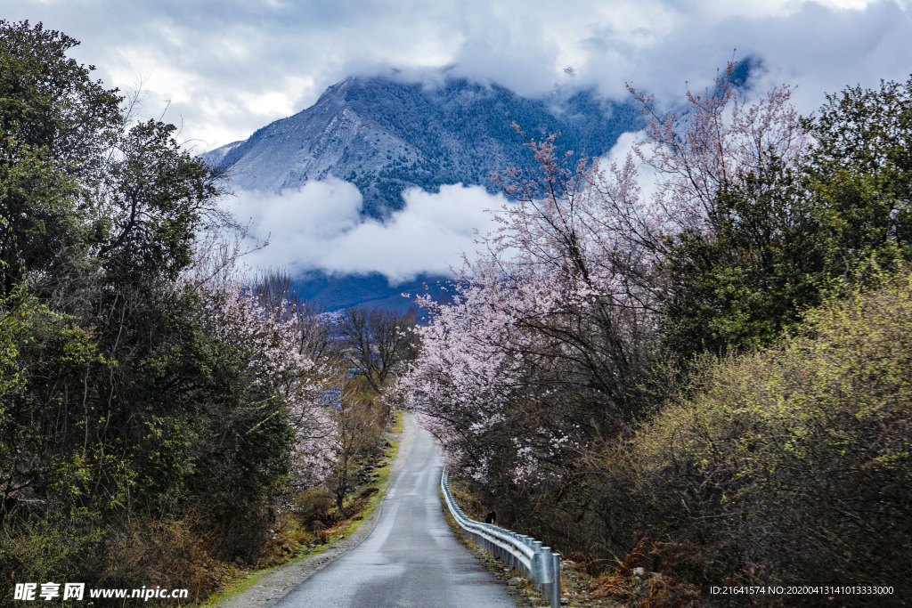 山中小道美景高清