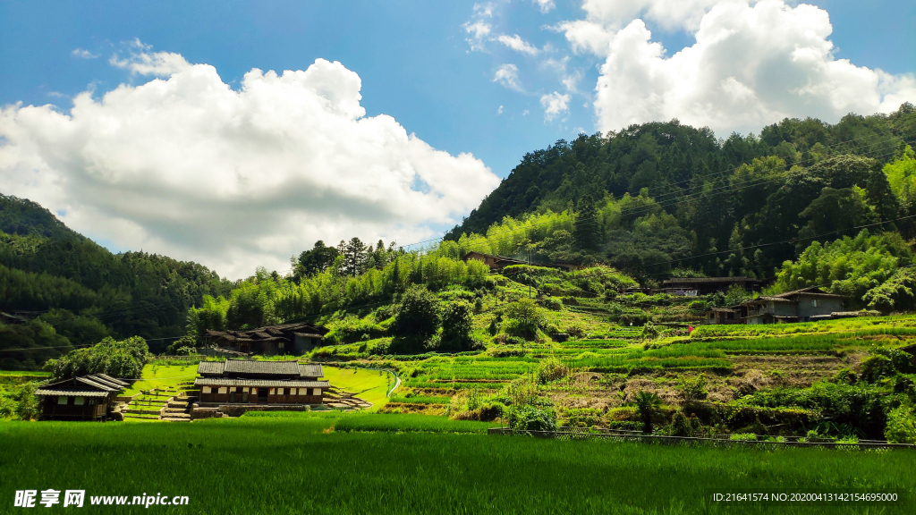 美丽的山村和农田旅游