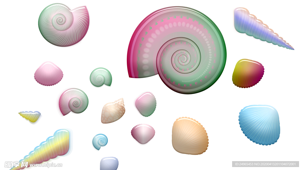 海螺贝壳创意插图