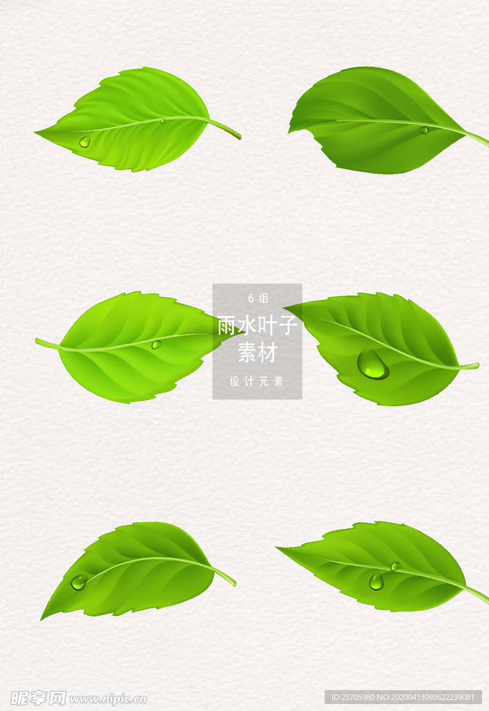 叶子