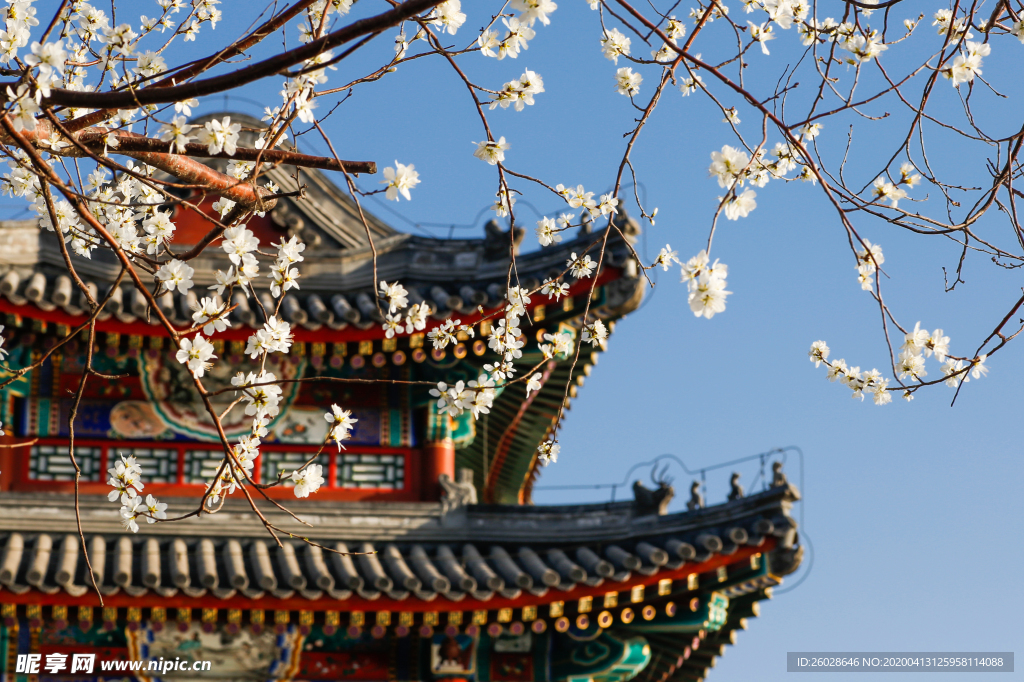 颐和园西提宫角风景