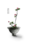 png 小素材 小物品 中国风