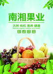 南湘果业