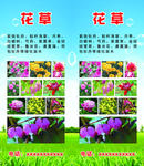 花草