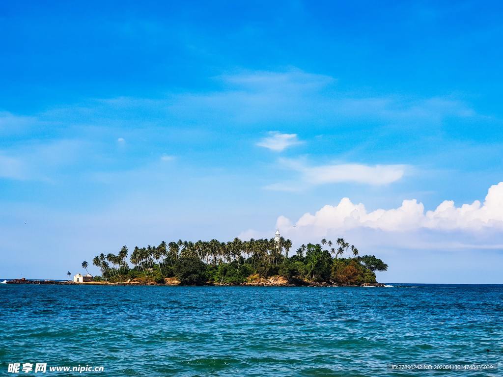 大海