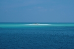 大海