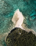大海