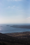 大海