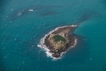 大海