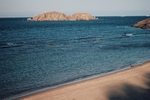 大海