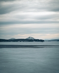 大海