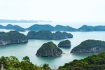 大海
