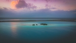 大海