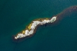 大海