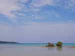 大海