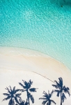 大海