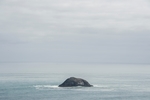 大海