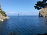 大海