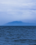大海
