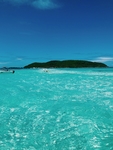 大海
