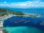 大海