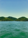 大海