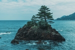 大海