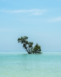 大海