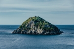 大海