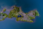大海