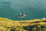 大海