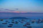 大海